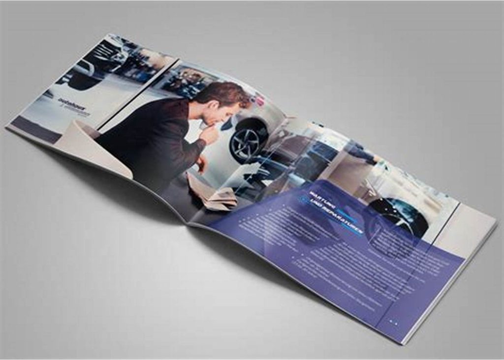 Thiết Kế Catalogue Phản Ánh Bản Sắc Thương Hiệu Áp Dụng Phong Cách Thương Hiệu Một Cách Nhất Quán