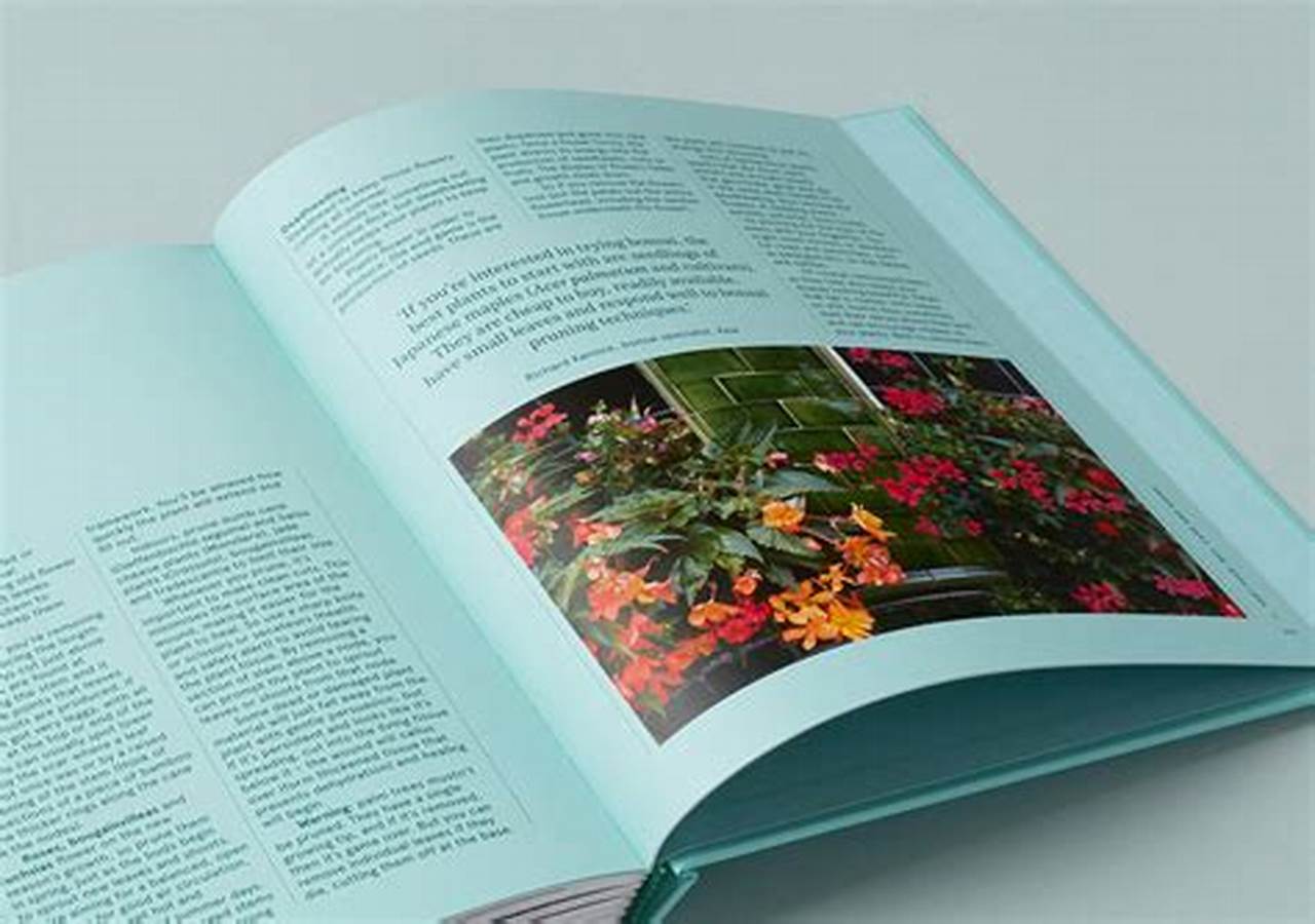 Tối Ưu Chi Phí In Catalogue: Hướng Dẫn Cho Các Doanh Nghiệp Mẹo Tối Ưu Chi Phí In Catalogue