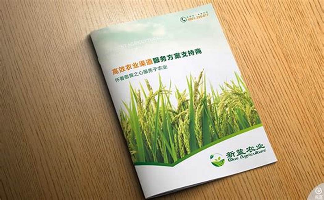 Thiết Kế Catalogue Thân Thiện Với Môi Trường: Hướng Tới Tương Lai Xanh Mực In Thân Thiện Với Môi Trường