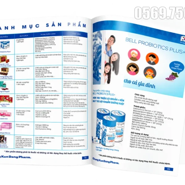 Xưởng in catalogue in catalogue 33