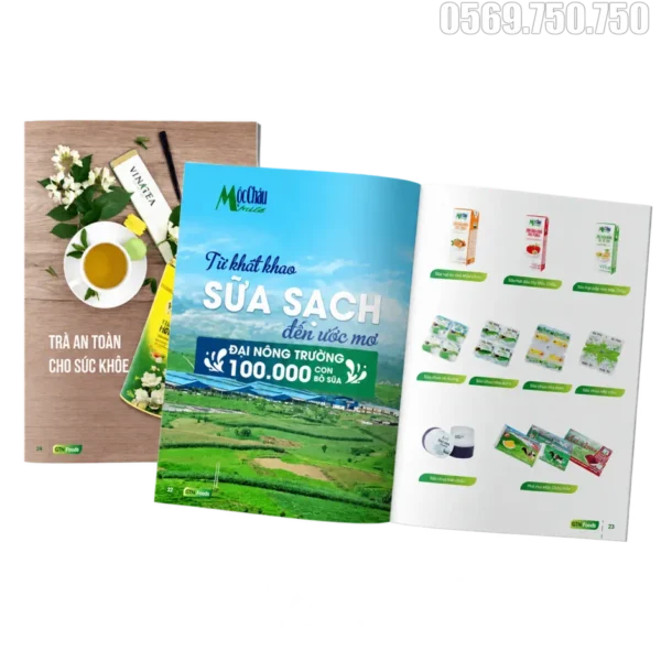 Xưởng in catalogue in catalogue 4
