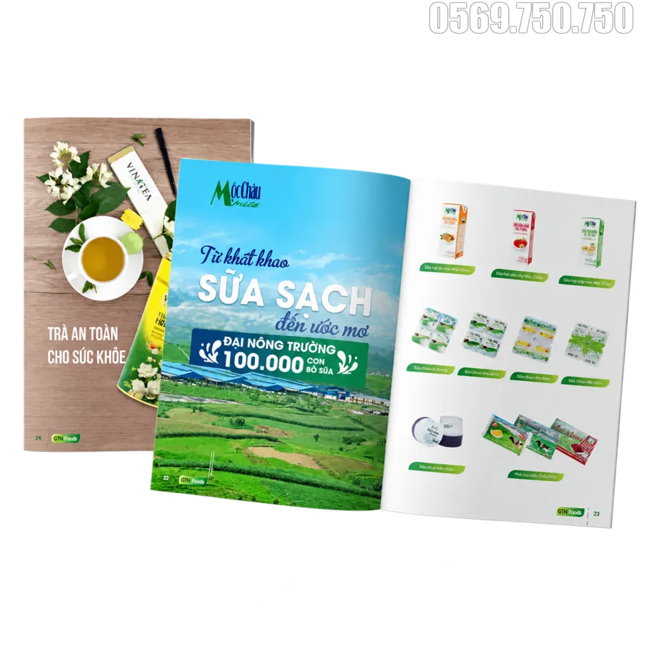 Xưởng in catalogue in catalogue 4