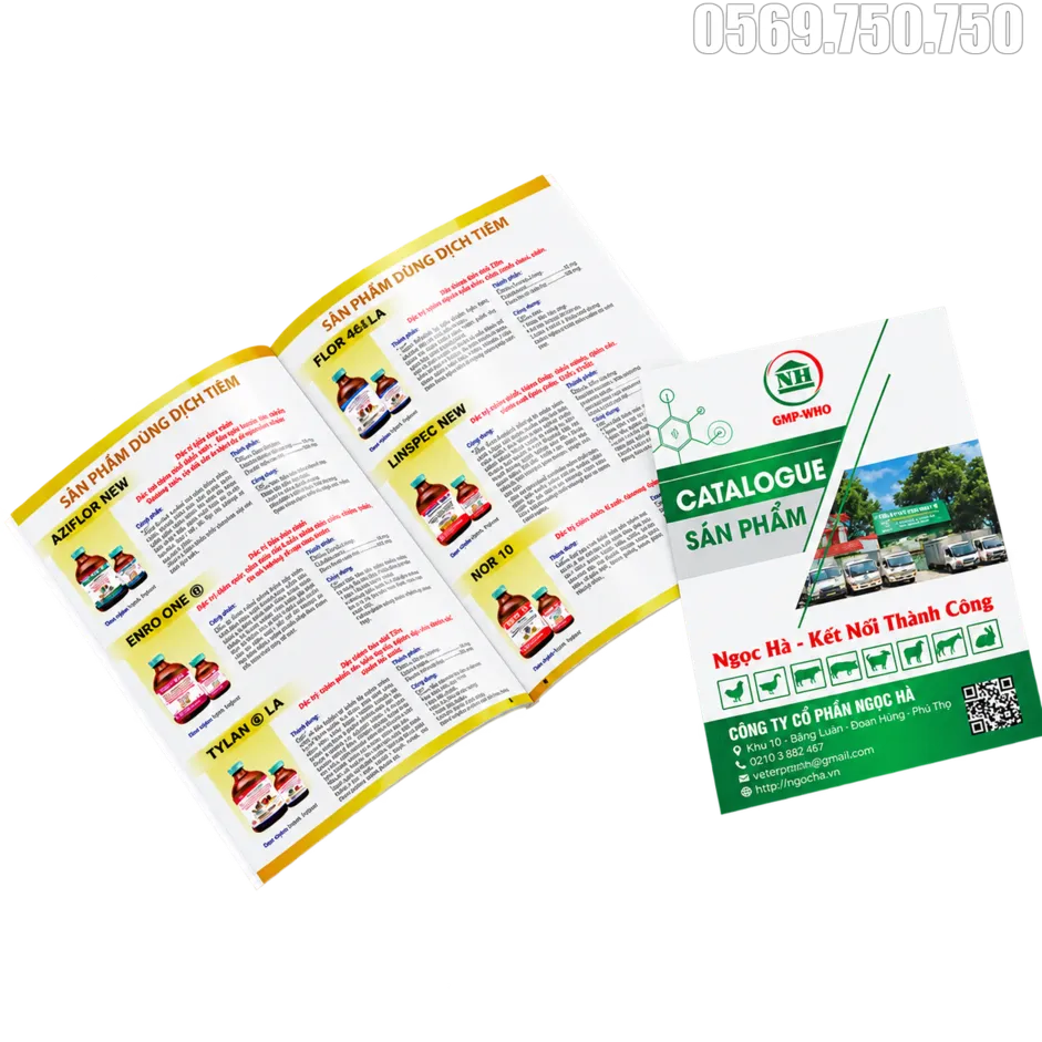 Xưởng in catalogue in catalogue 9