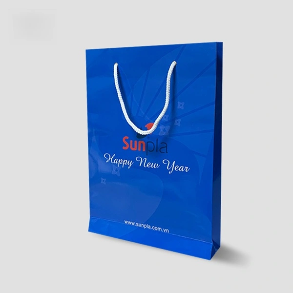 In túi giấy đựng quà in tui giay 10