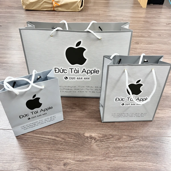 In túi giấy đựng quà in tui giay 2 1
