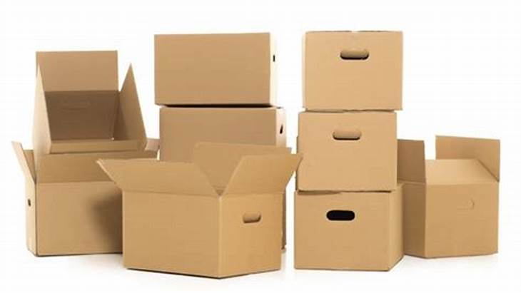 Hộp Giấy Carton: Lựa Chọn Hàng Đầu Cho Đóng Gói Vận Chuyển Cấu Tạo Và Đặc Điểm Hộp Giấy Carton