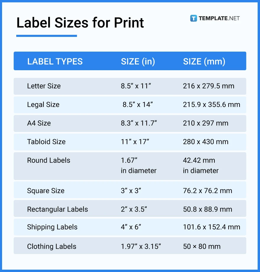 Label size là gì? Hướng dẫn toàn diện cho người mới bắt đầu Label size