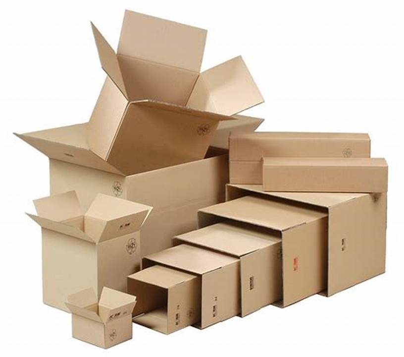 Hộp Giấy Carton: Lựa Chọn Hàng Đầu Cho Đóng Gói Vận Chuyển Ứng Dụng Của Hộp Giấy Carton Trong Đóng Gói Hàng Hóa