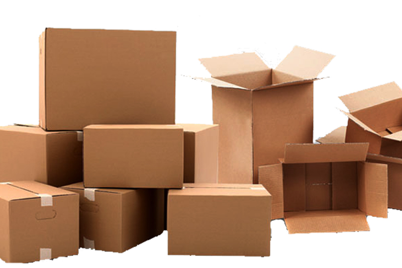Bao Bì Carton Là Gì? "Người Bảo Hộ" Thầm Lặng Cho Mọi Sản Phẩm Bao Bì Carton Người Bạn Đồng Hành