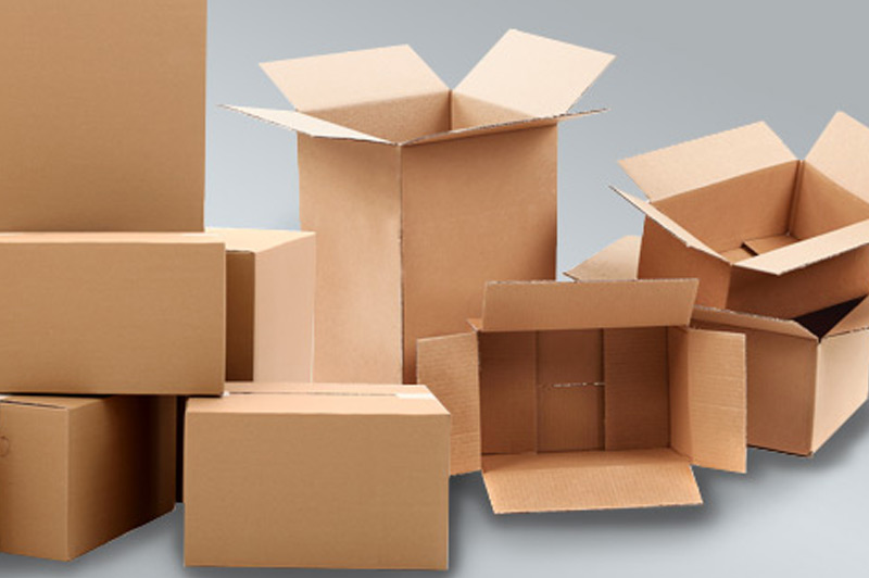Bao Bì Carton Là Gì? "Người Bảo Hộ" Thầm Lặng Cho Mọi Sản Phẩm Định Nghĩa và Đặc Điểm Nổi Bật Bao Bì Carton