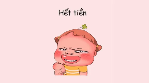 Ảnh chế hài hước về mèo