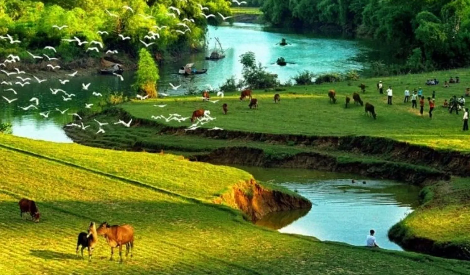 Top 200+ ảnh thiên nhiên lung linh, tuyệt đẹp cho máy tính và điện thoại Dòng sông với những chú bò đang gặm cỏ