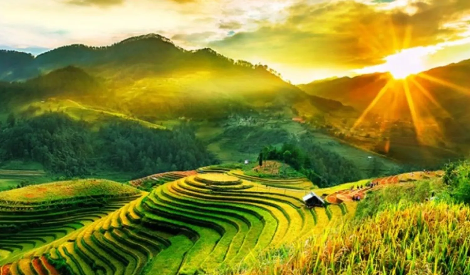 Top 200+ ảnh thiên nhiên lung linh, tuyệt đẹp cho máy tính và điện thoại Núi rừng hùng vĩ với ruộng bậc thang