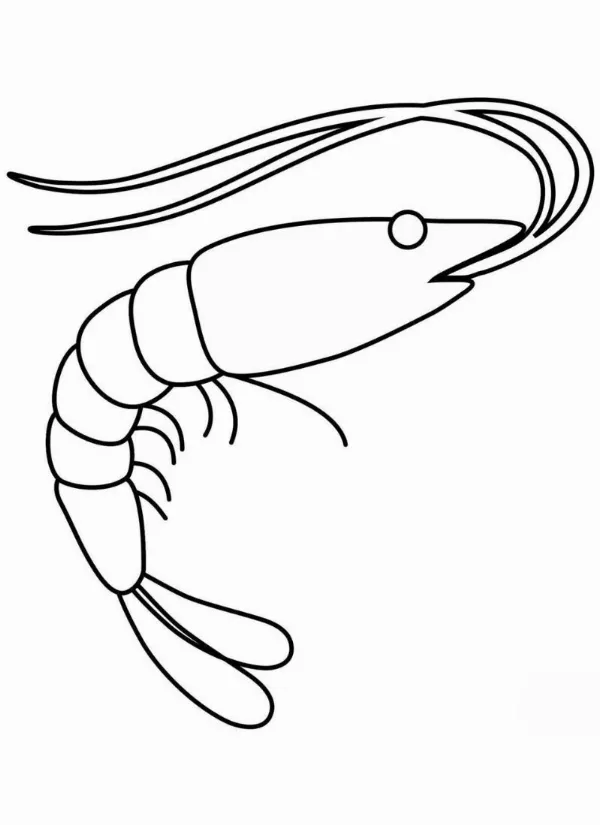 Tranh tô màu con tôm dễ thương