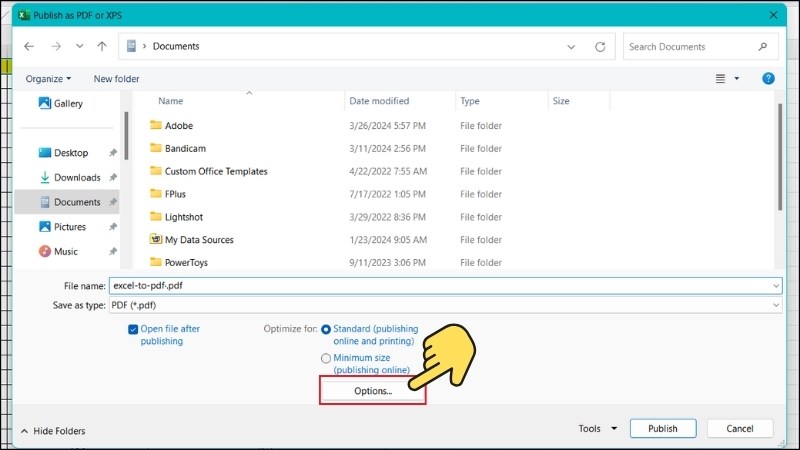 Chọn nơi xuất file PDF, đặt tên > Chọn Option Chọn nơi xuất file PDF, đặt tên > Chọn Option