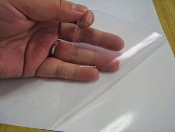 Decal trong suốt dán trên cửa kính