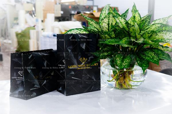 Dịch vụ in nhanh túi giấy mỹ phẩm chất lượng cao, giá rẻ