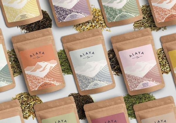 Mẫu catalogue sản phẩm thân thiện môi trường với tông màu xanh lá, thiết kế tối giản, hình ảnh sản phẩm thiên nhiên.