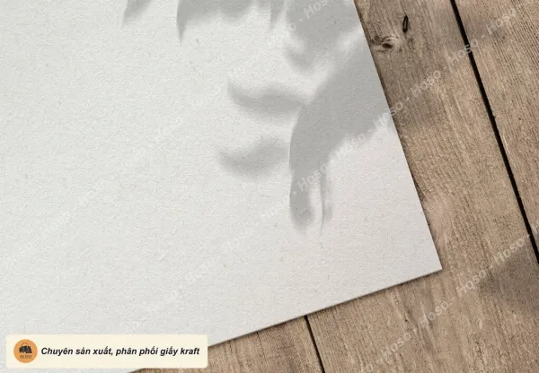 Hình ảnh so sánh các chất liệu giấy cao cấp dùng làm hộp đựng rượu, như giấy Ivory, giấy Kraft, thể hiện sự khác biệt về kết cấu và màu sắc.