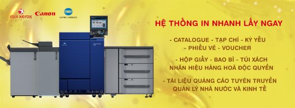 Màu sắc in ấn không chuẩn trên hộp giấy: So sánh màu thiết kế và màu in thực tế