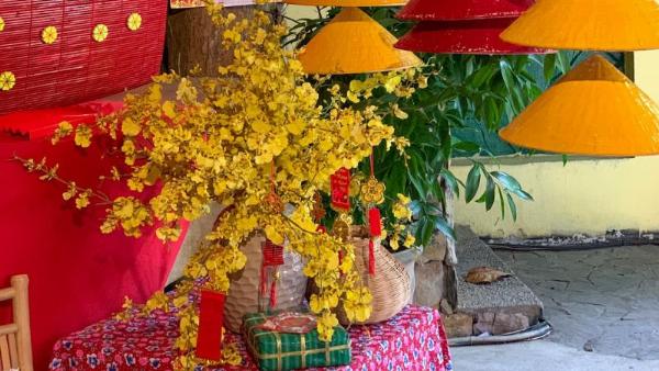 Bao lì xì Tết truyền thống với họa tiết hoa mai, chim én và sắc đỏ may mắn.
