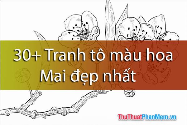 Tranh tô màu cho bé phát triển toàn diện