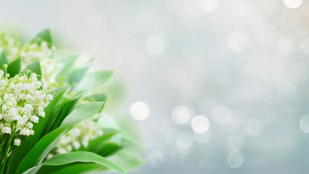 Nhanh Tay Tải Về 222+ Ảnh Đẹp, Hình Nền Đẹp Nhất Thế Giới (Hình Nền 4K)! Anh Dep Hinh Nen Dep Innhanh.pro .vn 60
