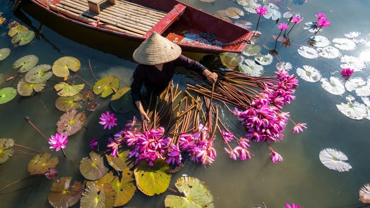Nhanh Tay Tải Về 222+ Ảnh Đẹp, Hình Nền Đẹp Nhất Thế Giới (Hình Nền 4K)! Anh Dep Hinh Nen Dep Innhanh.pro .vn 94