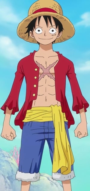 anh luffy anh luffy