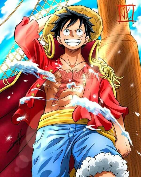 anh luffy anh luffy