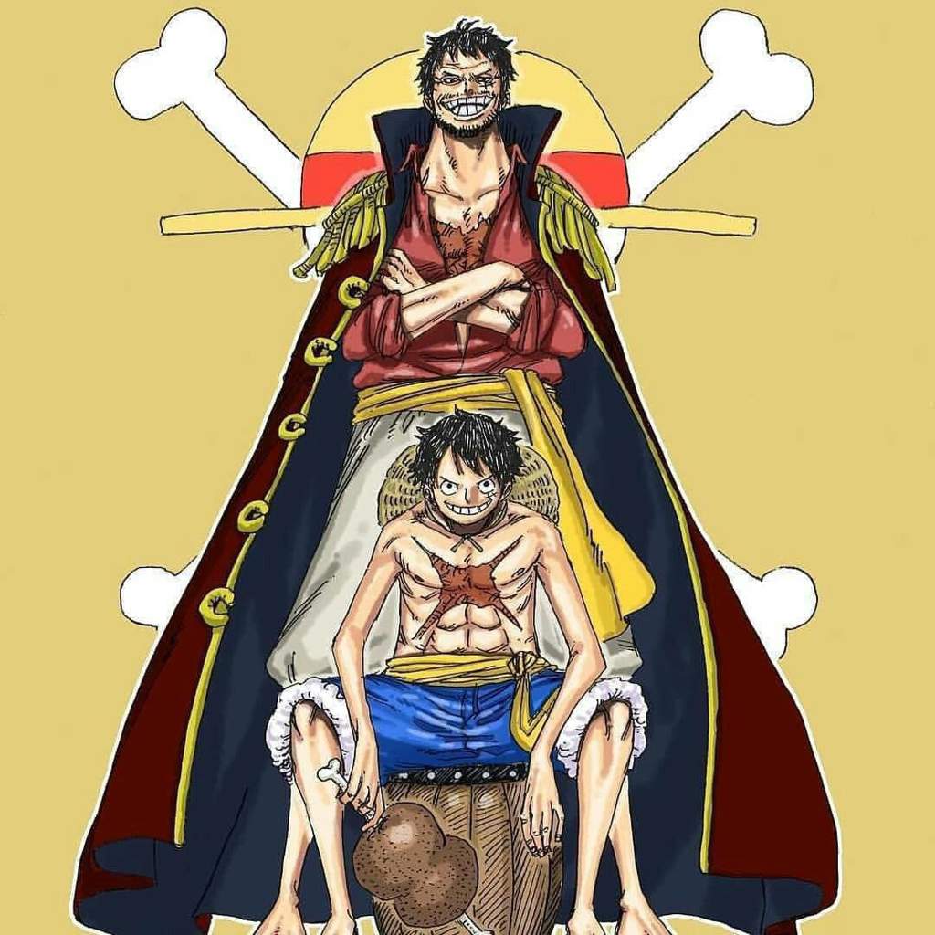 anh luffy anh luffy