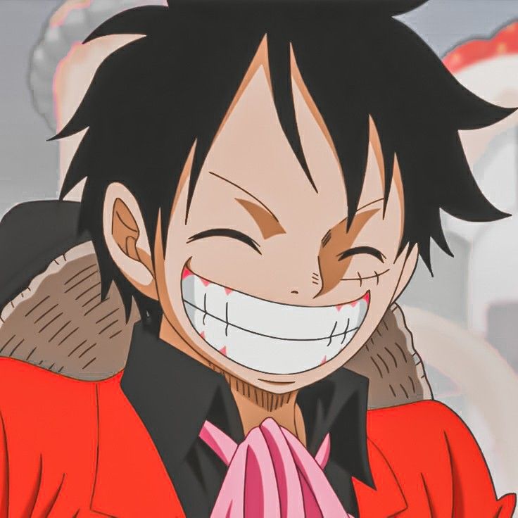 anh luffy anh luffy