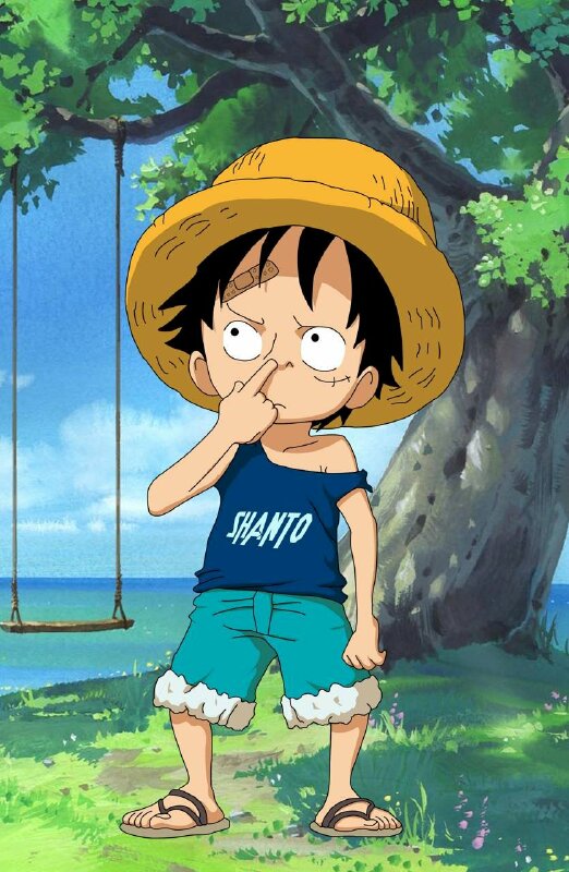 anh luffy anh luffy