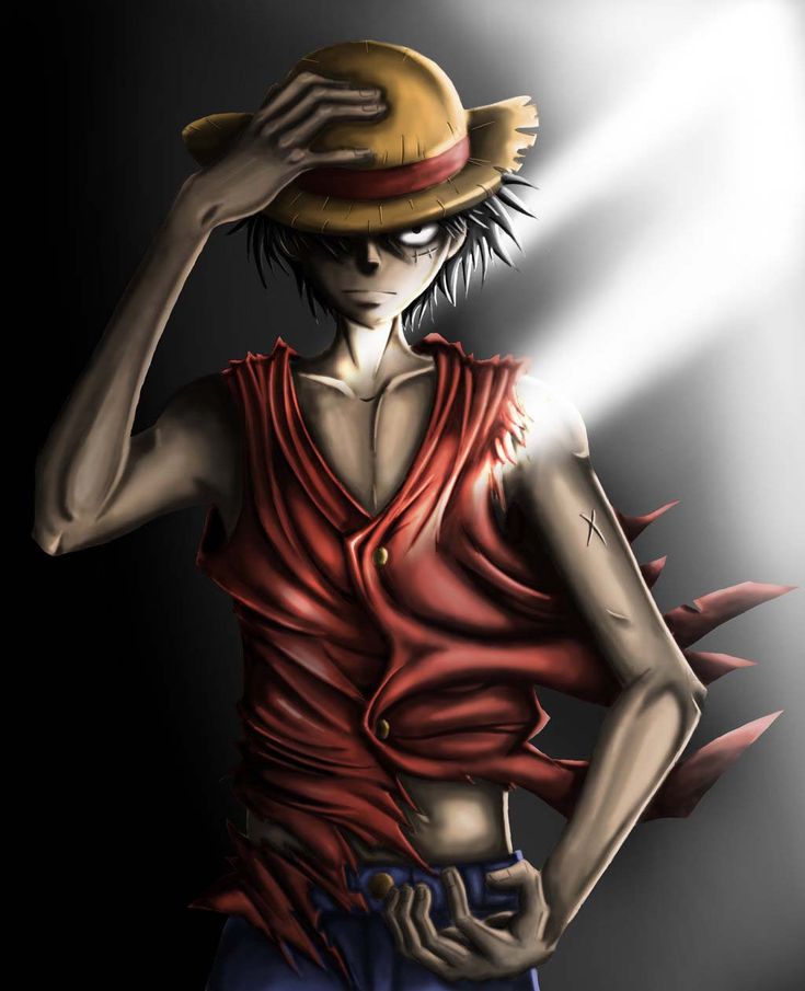 anh luffy anh luffy