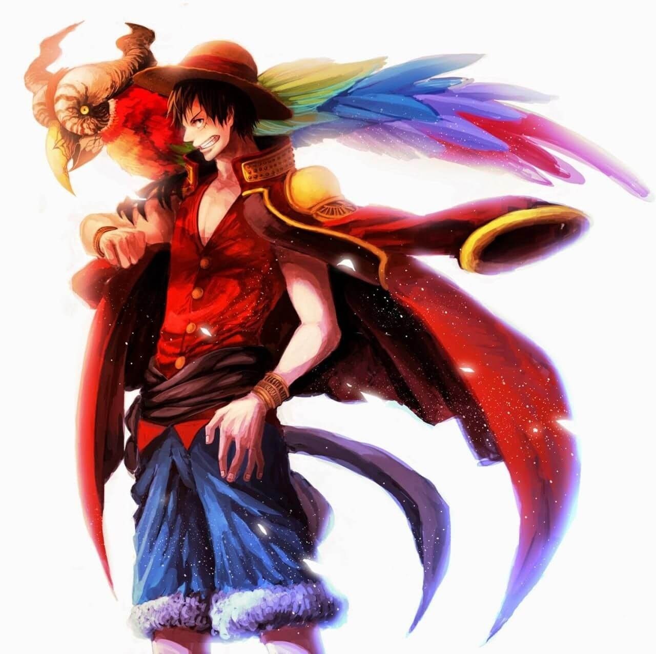 anh luffy anh luffy