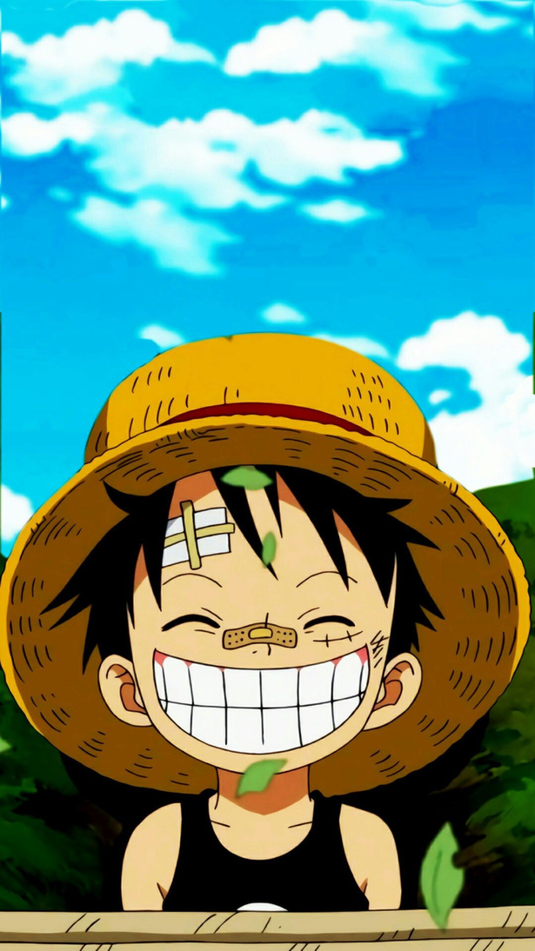 anh luffy anh luffy