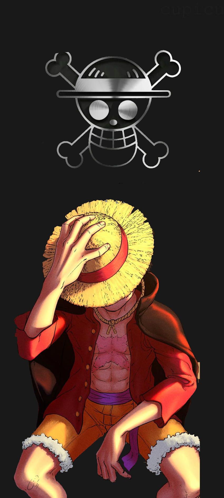 anh luffy anh luffy