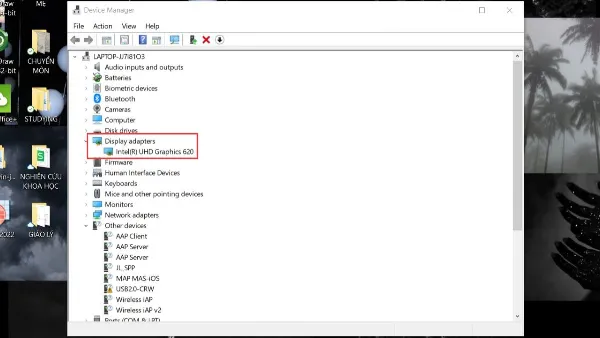 Cách khắc phục màn hình laptop bị thu nhỏ 2 bên đen đơn giản Bước 2: Nhấp đúp vào 'Display adapters' trong Device Manager.