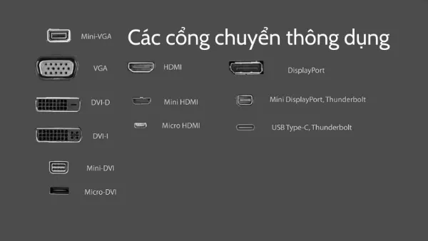 Các loại cổng kết nối phổ biến trên laptop Windows và MacBook: HDMI, DisplayPort, VGA, DVI, Thunderbolt và USB.