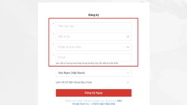 Điền các thông tin cần thiết để đăng ký tài khoản Garena: tên truy cập, mật khẩu, email